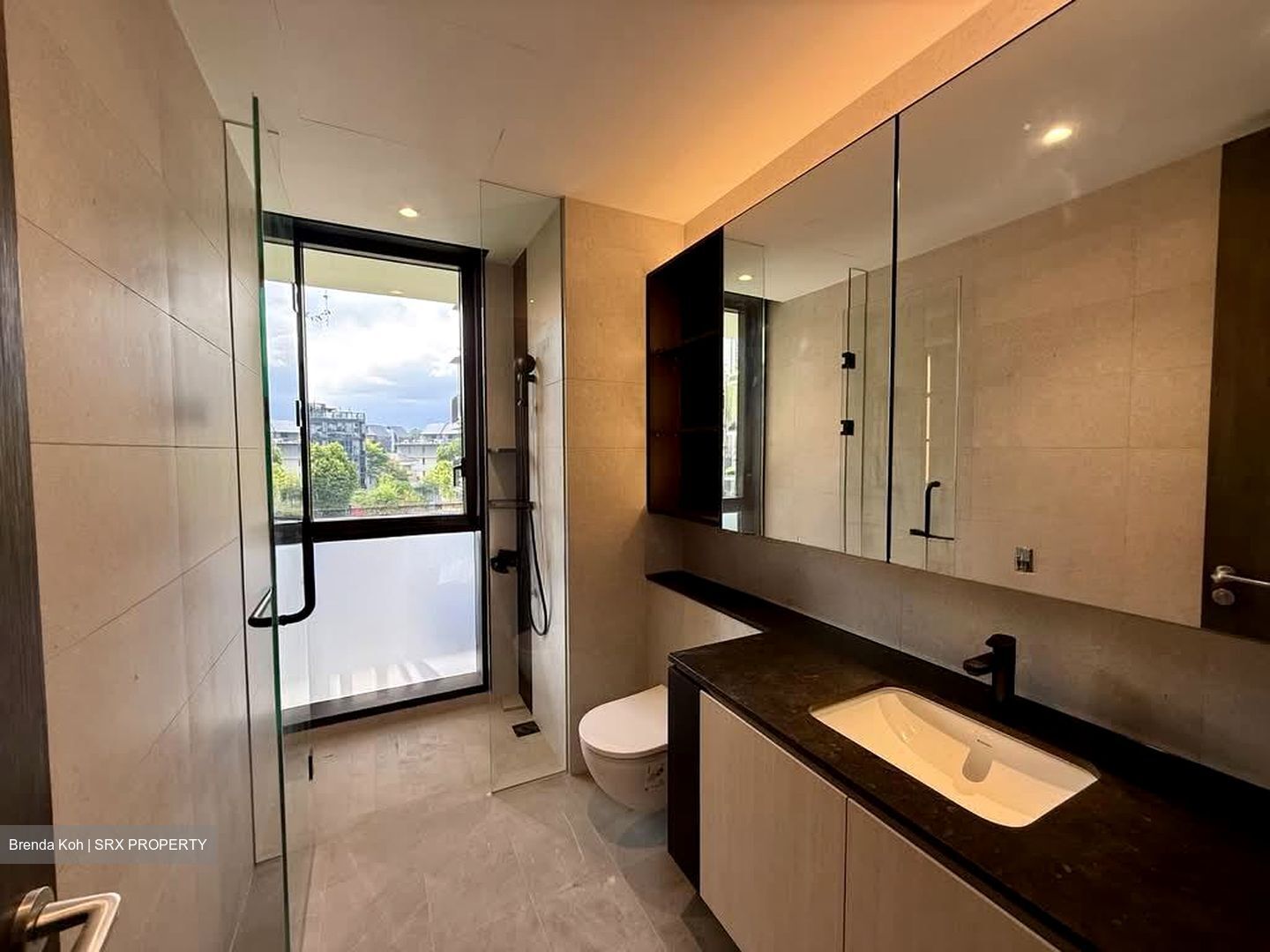 Jervois Mansion (D10), Apartment #529286821